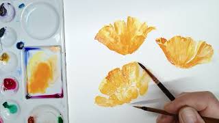 Hedwigs Art Yellow orange Australian poppies watercolor [upl. by Prue]