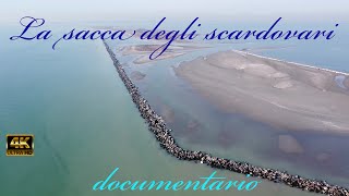 la sacca degli scardovari  il delta del Po  italia 4k video  documentario [upl. by Ainatit]