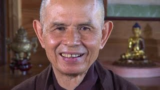 14 Gone With The Wind  Thich Nhat Hanh amp Plum Village [upl. by Annaeg484]