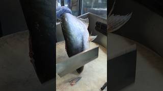 Pangas fish slice cutting skills  shorts video [upl. by Bree839]