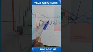 XAUUSDGold 30M Buy Projection  120924  tamilforexsignals forexsignal kripson [upl. by Leveroni]