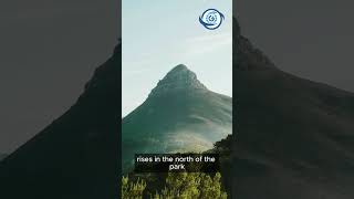 BAKOSSI NATIONAL PARK Cameroon facts news viral africa reels motivation presetalightmotion [upl. by Maria442]