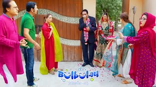 Bulbulay Season 2 Episode 203  Ayesha Omar  Nabeel [upl. by Nailliw]