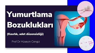 YUMURTLAMA BOZUKLUKLARI 🥚 adet düzensizliği kısırlık aşırı adet kanaması [upl. by Jany]