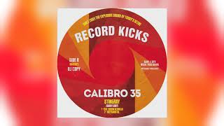 Calibro 35  Stingray feat Serena Altavilla [upl. by Nylrahs]