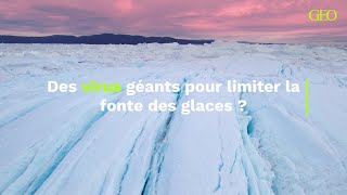 Groenland  des virus découverts sur la calotte glaciaire pourraient limiter la fonte des glaces [upl. by Adnohrahs]