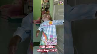 Monkey Lyly closes the door to block out the noise shorts cutefunny youtubeshorts [upl. by Serica]