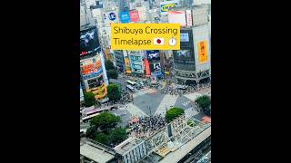 Timelapse of Shibuya Crossing  Stunning View from Scramble Tower ShibuyaCrossing TokyoTimelapse [upl. by Smiga524]