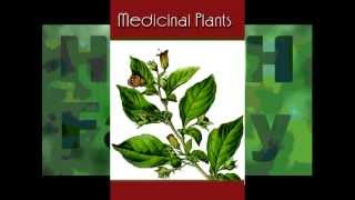 medicinal plants lecture 1 [upl. by Eneleh]