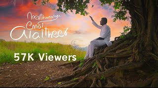 Neerthanaiya Ennai Alaitheer  Elisha Daniel  Latest Worship Song  Official Video Song [upl. by Melli]