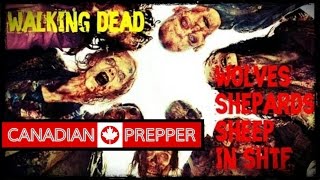 Walking dead Wolves Shepherds and Sheep in SHTF [upl. by Bonnibelle]