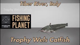 Fishing Planet Trophy Wels Catfish Tiber River Italy [upl. by Anahsar765]