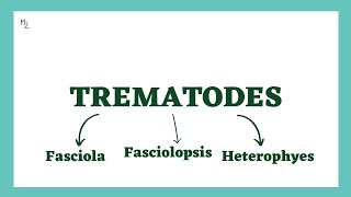 Fasciola Hepatica  Liver Fluke  Fasciolopsis buski  Heterophyes heterophyes  Intestinal Fluke [upl. by Ary]