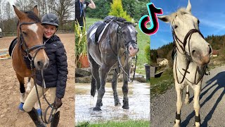 The Cutest HORSES Equestrian TikTok Compilation 155 [upl. by Thirion848]