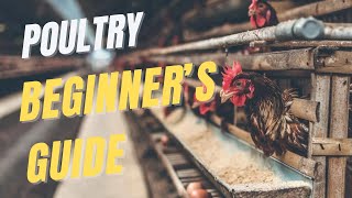 Poultry farming full guide for beginners  The FarmGuide Sn1 E2 [upl. by Assenar437]