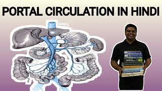 portal circulation in hindi  portal vein  portal circulation anatomy  digestive system [upl. by Nylessoj]