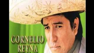 cornelio reyna me caiste del cielo [upl. by Millda688]