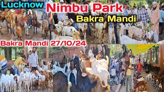 Lucknow Bakra mandi 271024 Live Update Nimbu Park ki Bakra mandi Bakra Mandi New Video [upl. by Akiehs941]