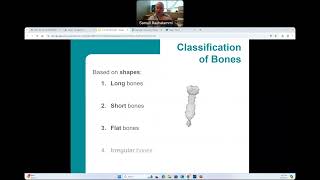 CG  BIO160  Skeletal System [upl. by Montague]