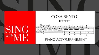 Cosa sento  Terzett  Le nozze di Figaro  Accompaniment  Mozart [upl. by Elsilrac679]