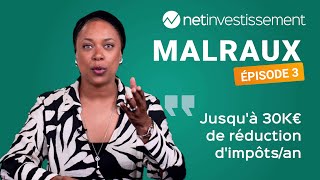 Quels sont les critères pour choisir son Malraux  Net Academy – Episode 3  Netinvestissement [upl. by Kissee]