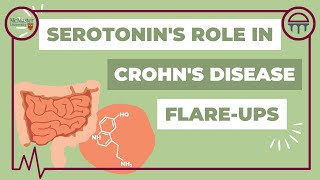 Serotonin’s Role in Crohn’s Disease Flare Ups [upl. by Toinette]