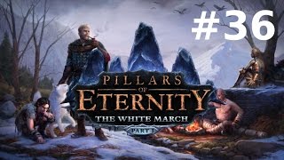 Pillars of Eternity 36  The White March  Stream du 25 août 22 [upl. by Flemings]