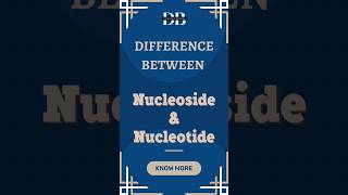 Difference Between Nucleoside and Nucleotide  Unravelling the Secrets of Nucleosides amp Nucleotides [upl. by Inaffets]