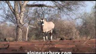 Bowhunting Africa with Alpine Silverado bow [upl. by Nidorf558]