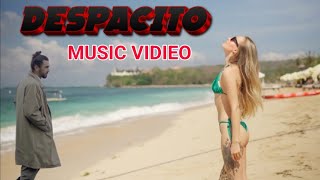 Despacito Music Video Hindi By NIC GANER [upl. by Leunamnauj]