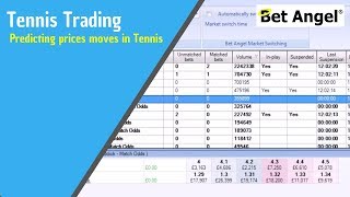 Betfair trading strategy  Predicting prices moves in Tennis [upl. by Schubert]