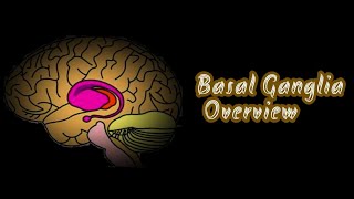 BASAL GANGLIA IN TAMIL  INTRODUCTION  CONNECTION  FUNCTION  APPLIED PHYSIOLOGY  OVERVIEW [upl. by Tandy359]