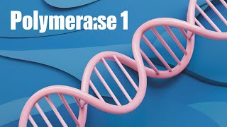 DNA Polymerase The Unsung Hero of Genetics DNApolymerase [upl. by Satterlee784]