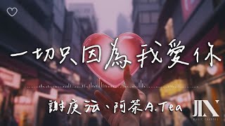 謝庚沄、阿茶ATea l 一切只因為我愛你【高音質 動態歌詞 Lyrics】 [upl. by Triley]