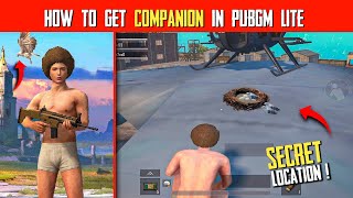 How To Get Companion Falcon In PUBG Mobile lite  New Secret Location  Ft 9DS ARMY  Combat Guruji [upl. by Enerehs]