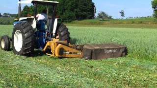 Ford 6610 mowing hay with Vermeer 5040 disc mower [upl. by Esinned]