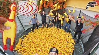 TRAMPOLINE FILLED WITH SQUEAKY CHICKEN TOYS [upl. by Itisahc765]