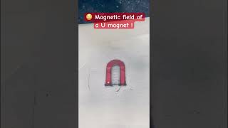 Magnetic field lines of a U magnet magneticfieldlinesfunexperimentshortsshortsfeed [upl. by Cedell]