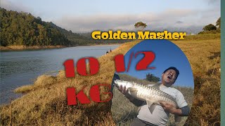 Golden Masher in Doyang River 10 KG [upl. by Odetta784]