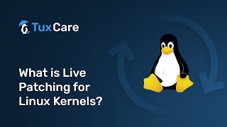 What is LIVE PATCHING for LINUX KERNEL  Ultimate Beginners Guide [upl. by Onej]