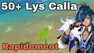 50 LYS CALLA Guide Genshin Impact FR [upl. by Stanley439]