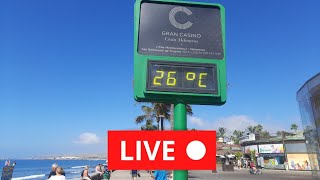 🔴🌡️LIVE Gran Canaria Maspalomas February 15 2024 Weather Wetter Januar [upl. by Saidee]