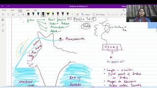 Drainage System in India UPSC river upsc [upl. by Bonina]