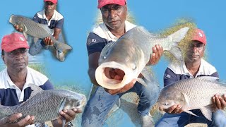 GOLCONDA FISHING 🎣 🎣 TELANGANA FISHING🐟🐟 INDIAN FISHING 🐠🐠 [upl. by Torrie]