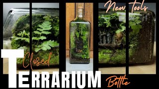 Terrarium making DIY terrarium  Aakri amp Aakri [upl. by Otsedom]