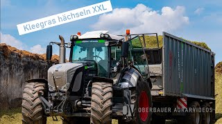 Kleegras hächseln XXL  4k  Fendt  John Deere  Sennebogen  MAN [upl. by Dlorrej]