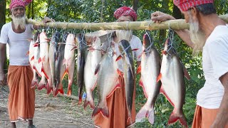 Pangas Fish Bengali Curry Recipe Cooking By Grandpa  Delicious Food For UnfortunateSpecial People [upl. by Eamon]