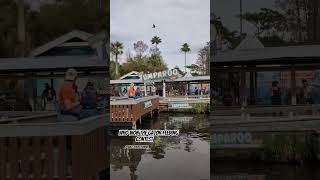 Who won the gator feeding contest florida floridalife alligator crocodile feeding alligators [upl. by Lleynad]