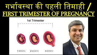 गर्भावस्था की पहली तिमाही  FIRST TRIMESTER OF PREGNANCY [upl. by Baten]