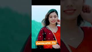 Gamalama Jai pratapdas gamalamajai folksong lokdohorisong nabarajghorasaini nepalisong [upl. by Lia261]